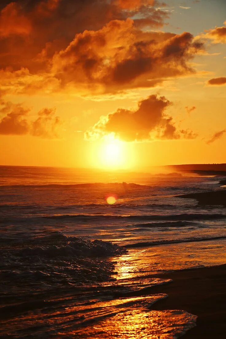 Sunset she