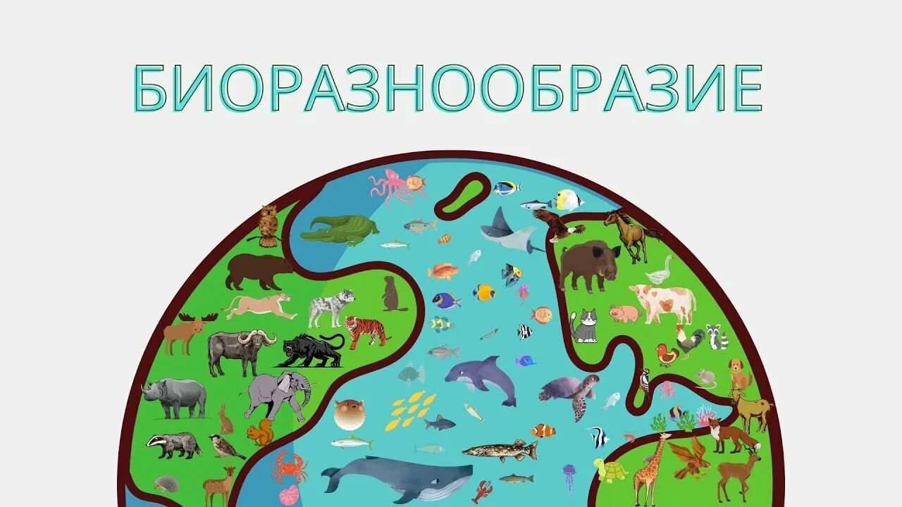 Биоразнообразие оопт. Биоразнообразие оопт