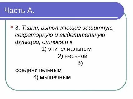 Основная ткань выполняет защитную функцию