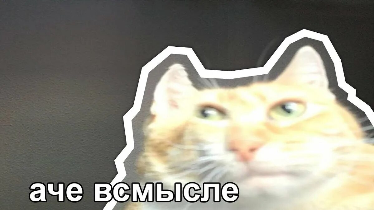 18 понял