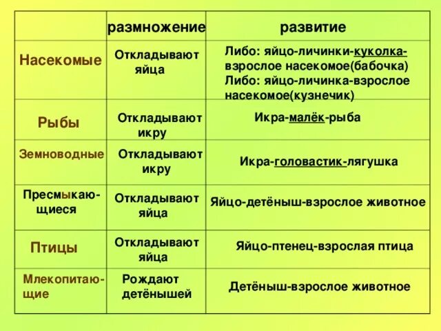 Насекомые откладывают яйца развитие. Размножение насекомых таблица. Размножение и развитие животных таблица. Развитие насекомых, рыб, земноводных,.