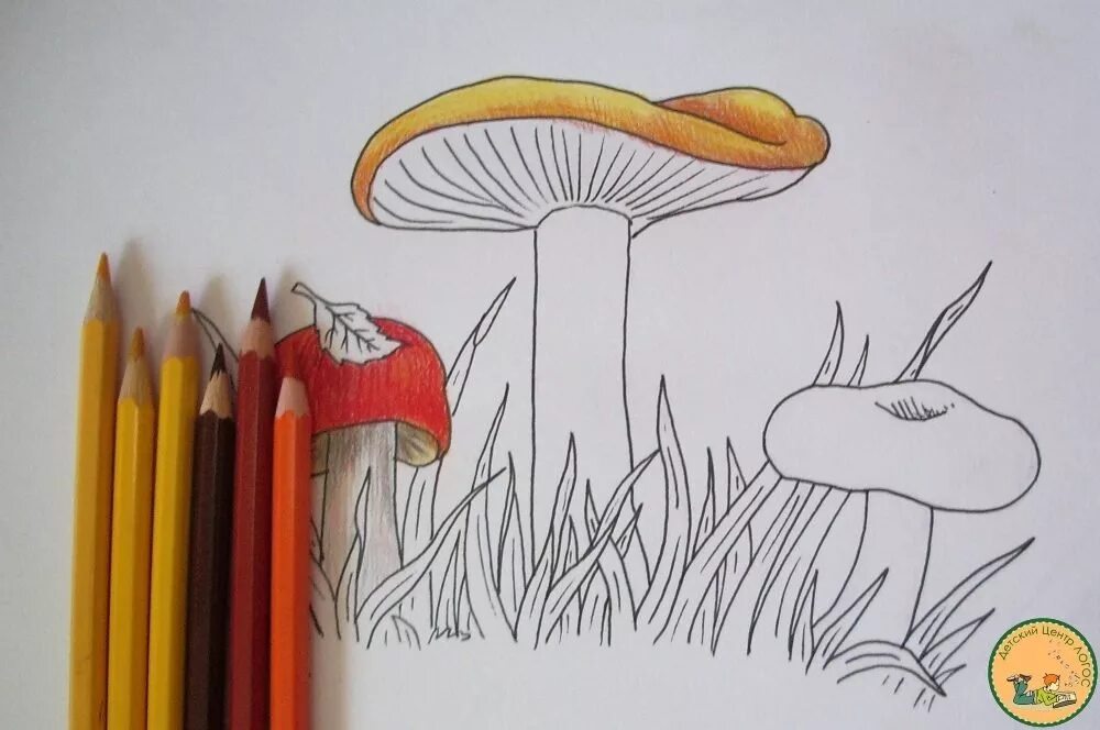 Грибы поэтапно. Рисование грибы. Грибы цветными карандашами. Рисунки грибов карандашом. Рисование грибов карандашами.