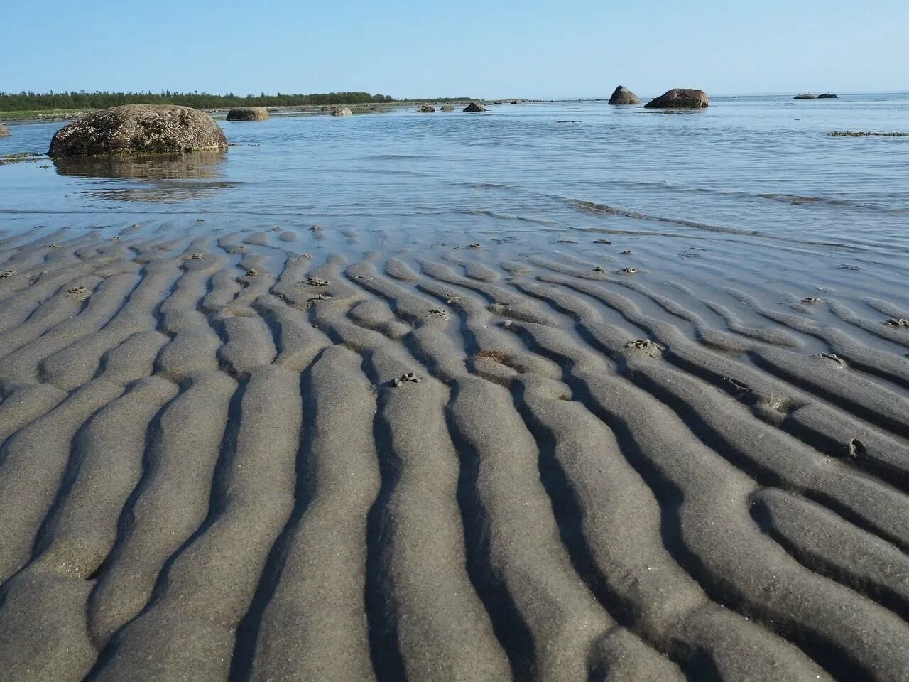 Почему береговая. Белое море. Белое море Архангельская область. Белое море пляж. Белое море летом.