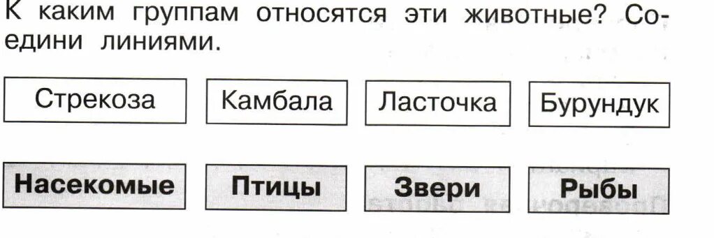 Окружающий мир 2 класс аттестация ответы. Окружающий мир 1 класс аттестация. Соедини линиями 4 класс окружающий мир 2023 год. Тест дни недели 1 класс окружающий мир.