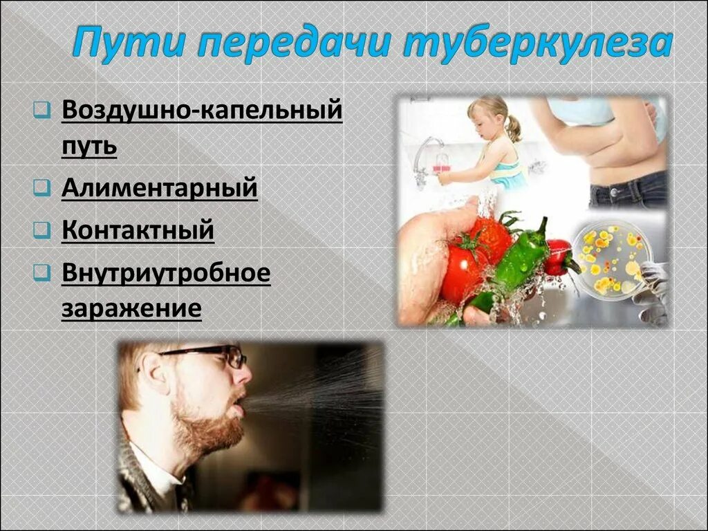 Инфекции бытовым путем. Пути передачи туберкулёзной инфекции. воздушно капельный путь передачи туберкулеза. пути передачи заболевания при туберкулезе. алиментарный путь заражения туберкулезом.