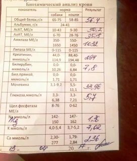 Анализ биохимия можно ли пить