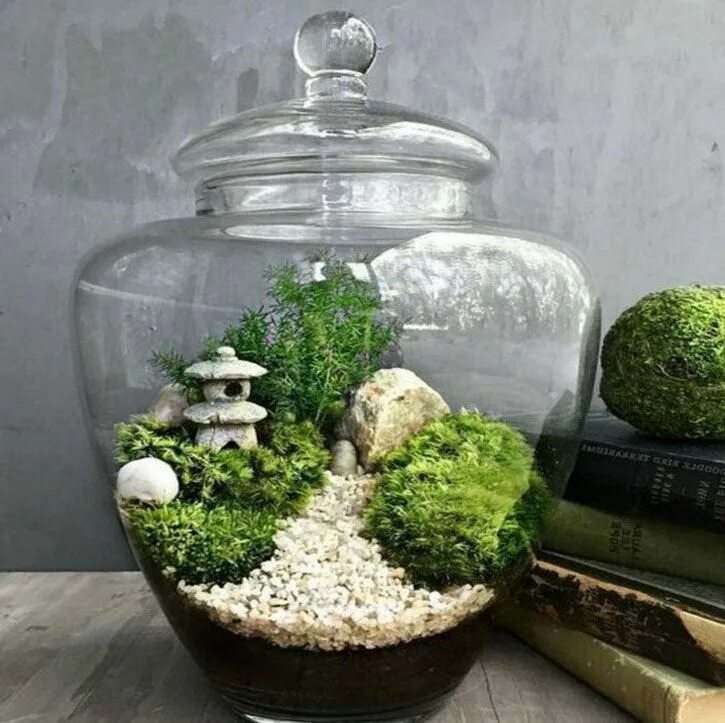 Кактус с суккулентом в прозрачной вазе, Live plants Moscow, buy at a price of 49