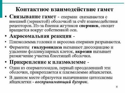 Контактное взаимодействие