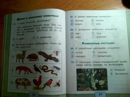 Тест по окружающему миру 3 животные