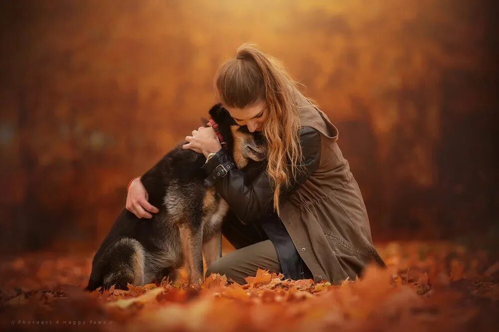 Девушка с собакой. Двушка обнимает собаку. Девушка обнимает собаку. Осенняя фотосессия с собакой.