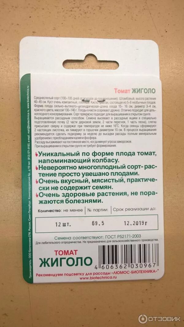 Жигало помидоры выращивание и использование необычного сорта томатов