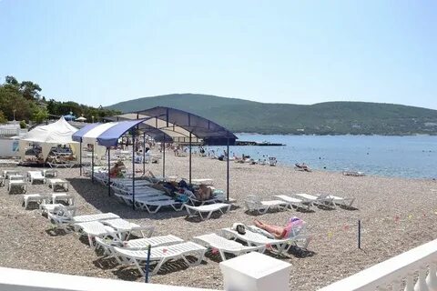 Кабардинка медвежонок