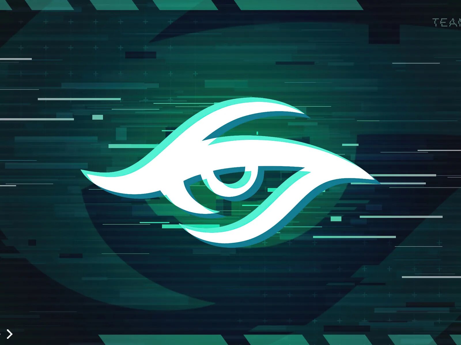 Team secret дота 2. Обои secret. Обои duka secret palace 21250-2. Team secret логотип. Виктория стенова официальный сайт обои ростов на дону.