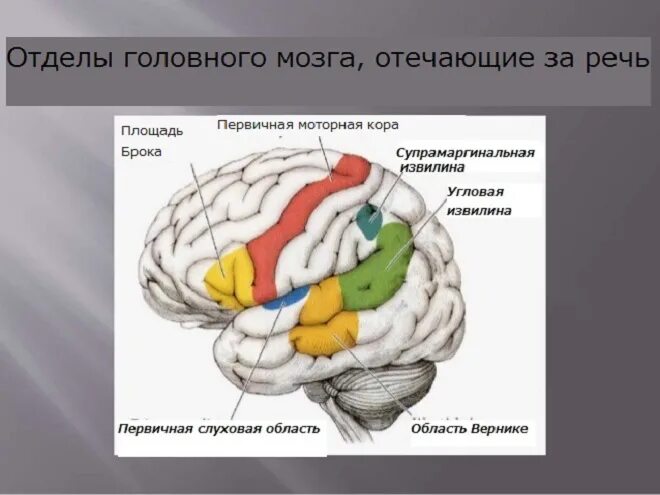 Механизм семантической афазии
