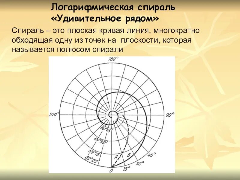 Логарифмическая спираль ее свойства. Логарифмическая спираль презентация. Логарифмическая спираль в природе презентация. Логарифмическая спираль и спираль архимеда. Логарифмическая спираль ее свойства.