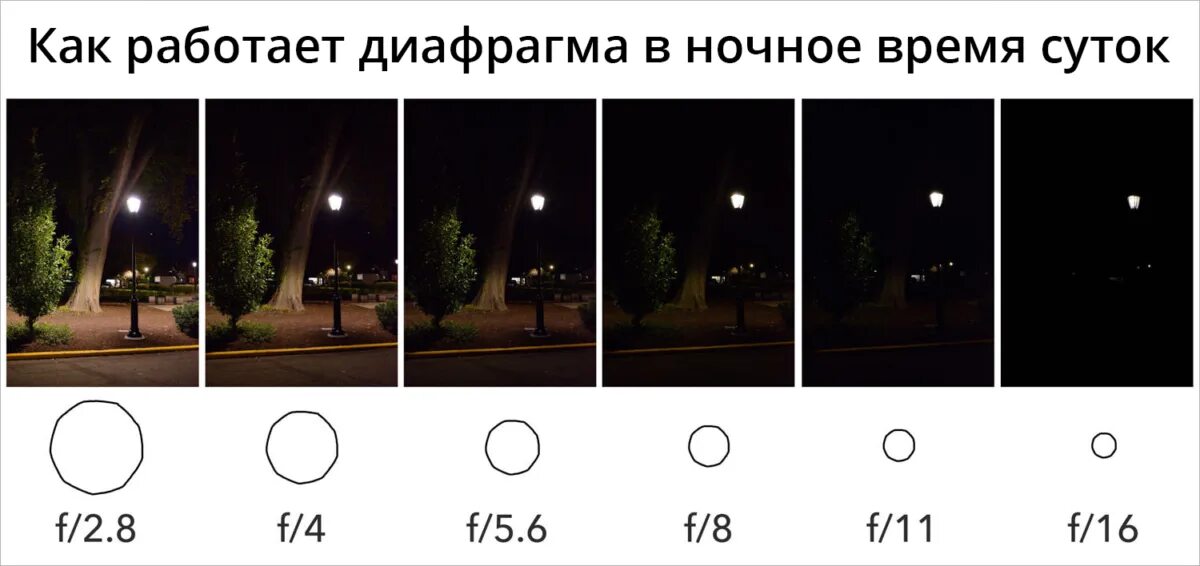 Почему фоток по 2. Шкала ИСО В фотоаппарате. Экспозиция диафрагма Выдержка ISO. Параметры экспозиции в фотографии. Настройки фотоаппарата.