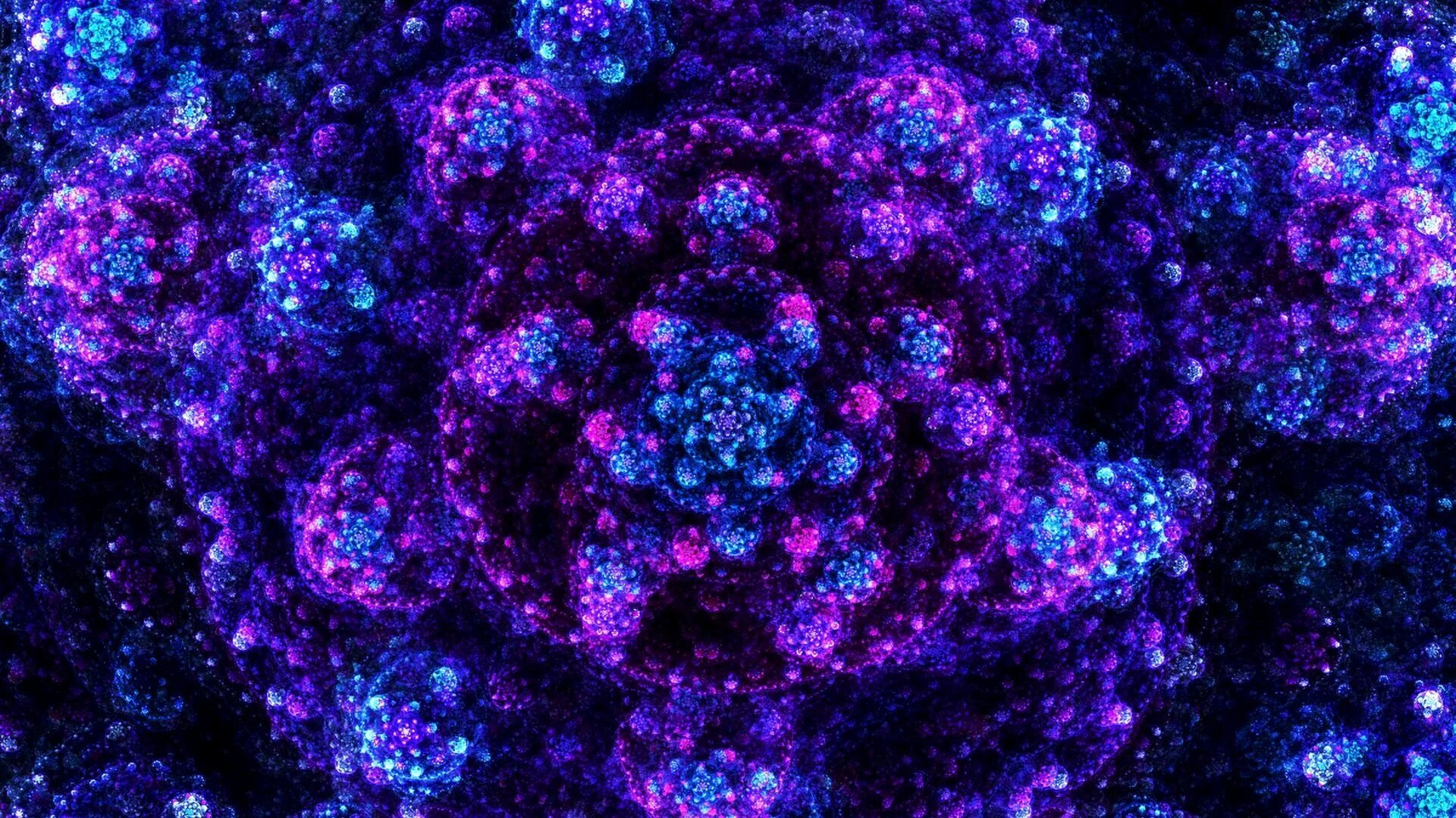 Фиолетовые цветы. Красивые переливы цветов. Сиреневые цветы. Голубая фиолетовые обои. Сине сиреневый цвет.
