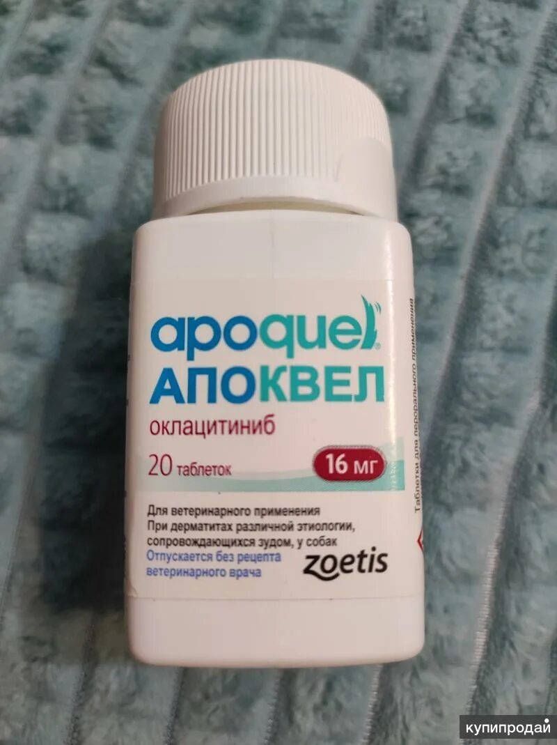 Апоквел 16 купить спб. Апоквел 16 мг. Апоквел для собак 16 мг. Апоквел 5,4 мг.