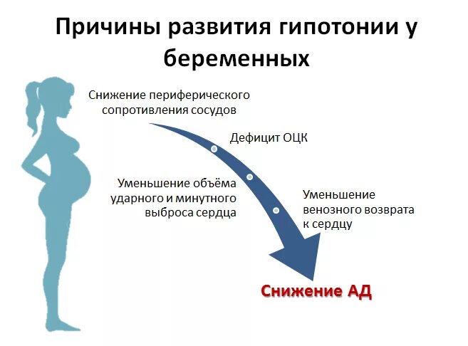 Почему гипотония. Низкое давление при беременности 1 триместр. Низкое ад при беременности 3 триместр. Давление у беременных 2 триместр. Высокое давление при беременности 3 триместр.