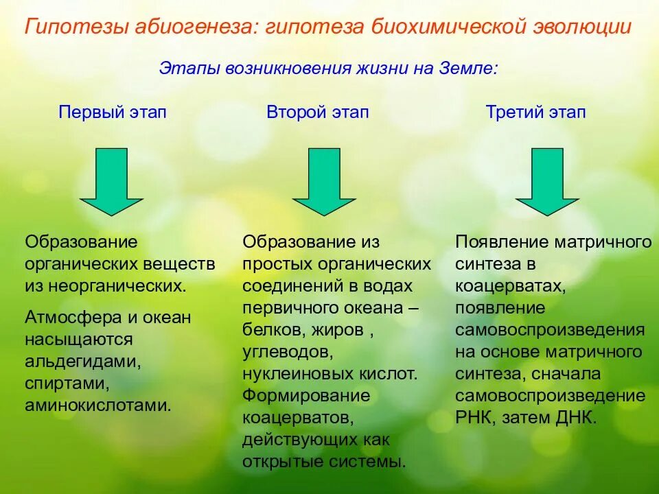 Этапы жизни по опарину. Биохимическая гипотеза Опарина таблица. Этапы возникновеничжизеи на земле. Основные этапы возникновения жизни. Начальные этапы возникновения жизни.