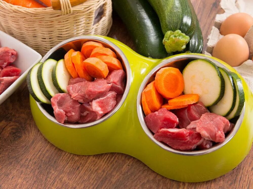 Можно ли давать мясо собакам