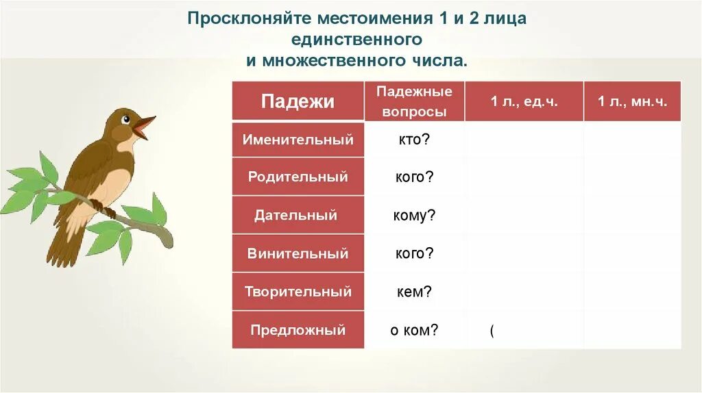 Просклонять скворец. Просклонять слово берег. Просклонять слово берег по падежам. Склонение местоимений 3 лица множественного числа презентация. Просклоняй местоимение кто по падежам.