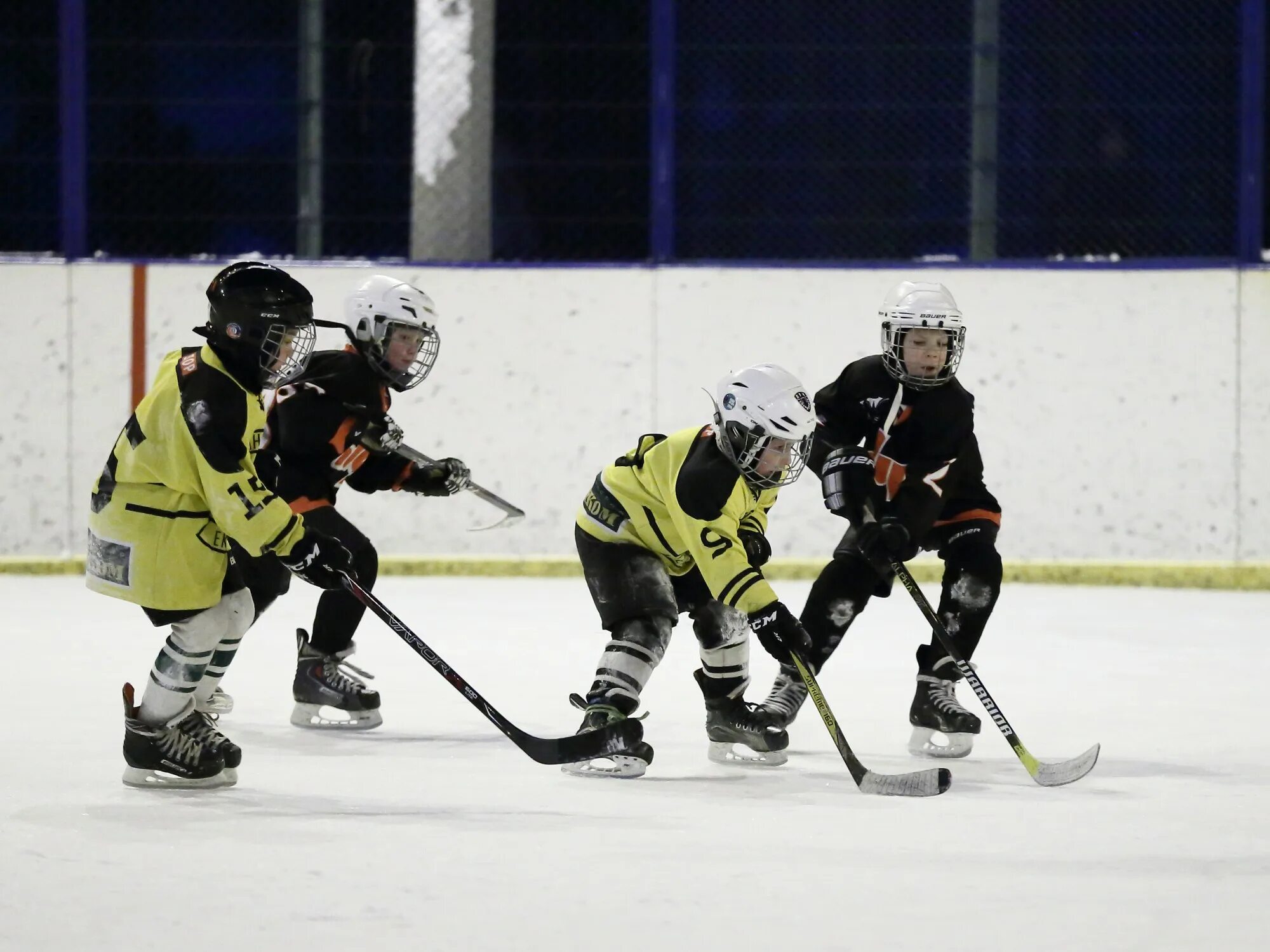 фото золотой шайбы