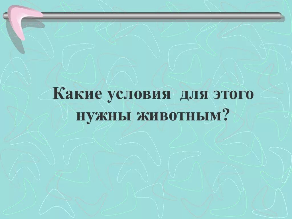 Тест по рассказу житкова обезьянка. Житков про обезьянку. Б Житков про обезьянку. Про обезьянку 3 класс. Житков про обезьянку презентация.