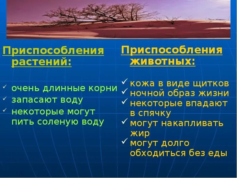 Сообщение о живых организмах разных природных зон. Приспособление животных в природных зонах. Приспособление растений в природных зонах. Приспособления животных и растений к природным зонам. Приспособление растений к разным климатическим условиям.