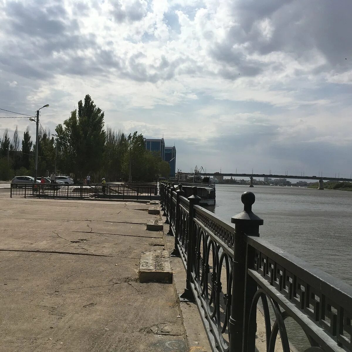 В Астрахани на Комсомольской набережной отказались от масштабной вырубки - МК Ас