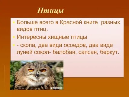 По страницам красной книги 4 класс перспектива
