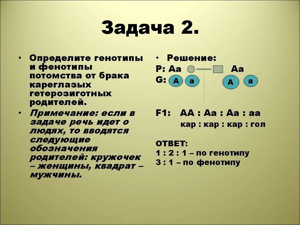 Как определить генотип в задаче