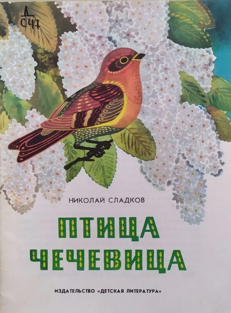 O bird. Сладков птица чечевица.