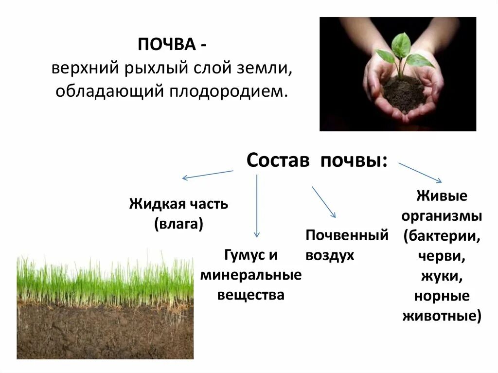 Почва презентация. Исследование почвы. Сохранение плодородия почв. Свойства почвы. Плодородие это свойство почвы которое