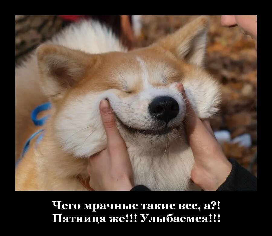 Улыбнись картинки. Ну улыбнись. Просто улыбнись. Улыбнись надпись. Ну мне улыбнись.