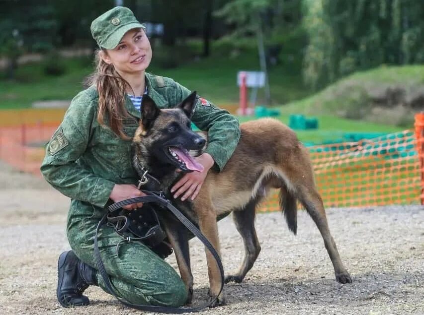 Кинолог центр. Кинологический центр Вооруженных сил Санкт Петербург. Кинологический центр Вооруженных сил Тюмень. К 10 Кинологический центр Петрозаводск.