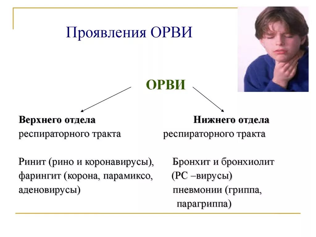 Проявления орви. Проявление ОРВИ. Респираторные инфекции симптомы. ОРВИ симптомы. Симптоматика ОРВИ.