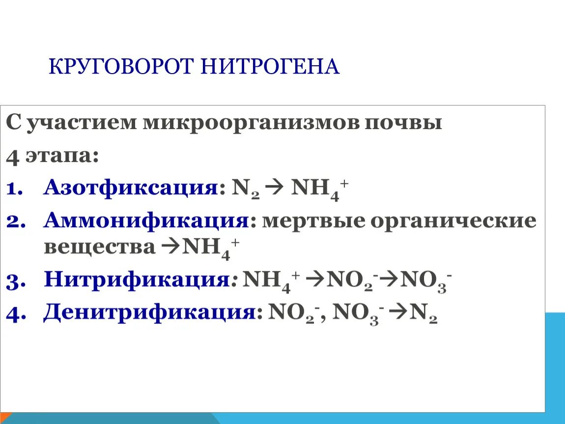 Денитрификация это. Денитрификация азота бактериями. Денитрификация связанного азота бактериями. Азотфиксация нитрификация денитрификация аммонификация. Схема процесса аммонификации.