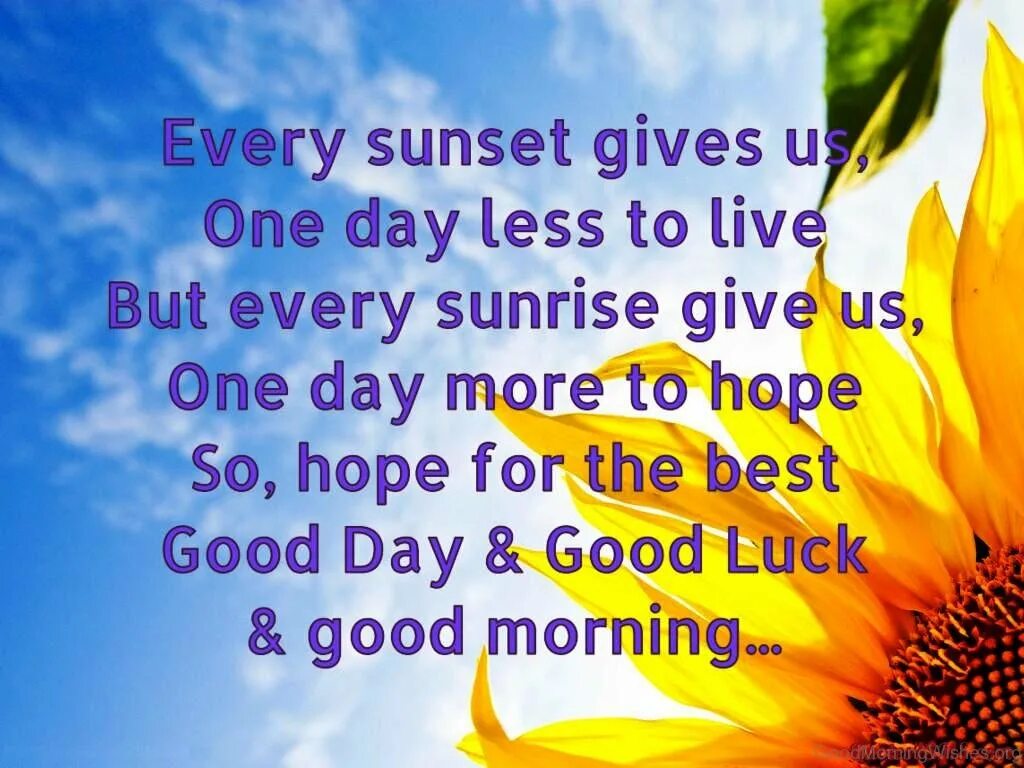 Live in less. Good morning good luck. I Wish you good Day картинки. Good luck good Day. Wish you good luck картинки.
