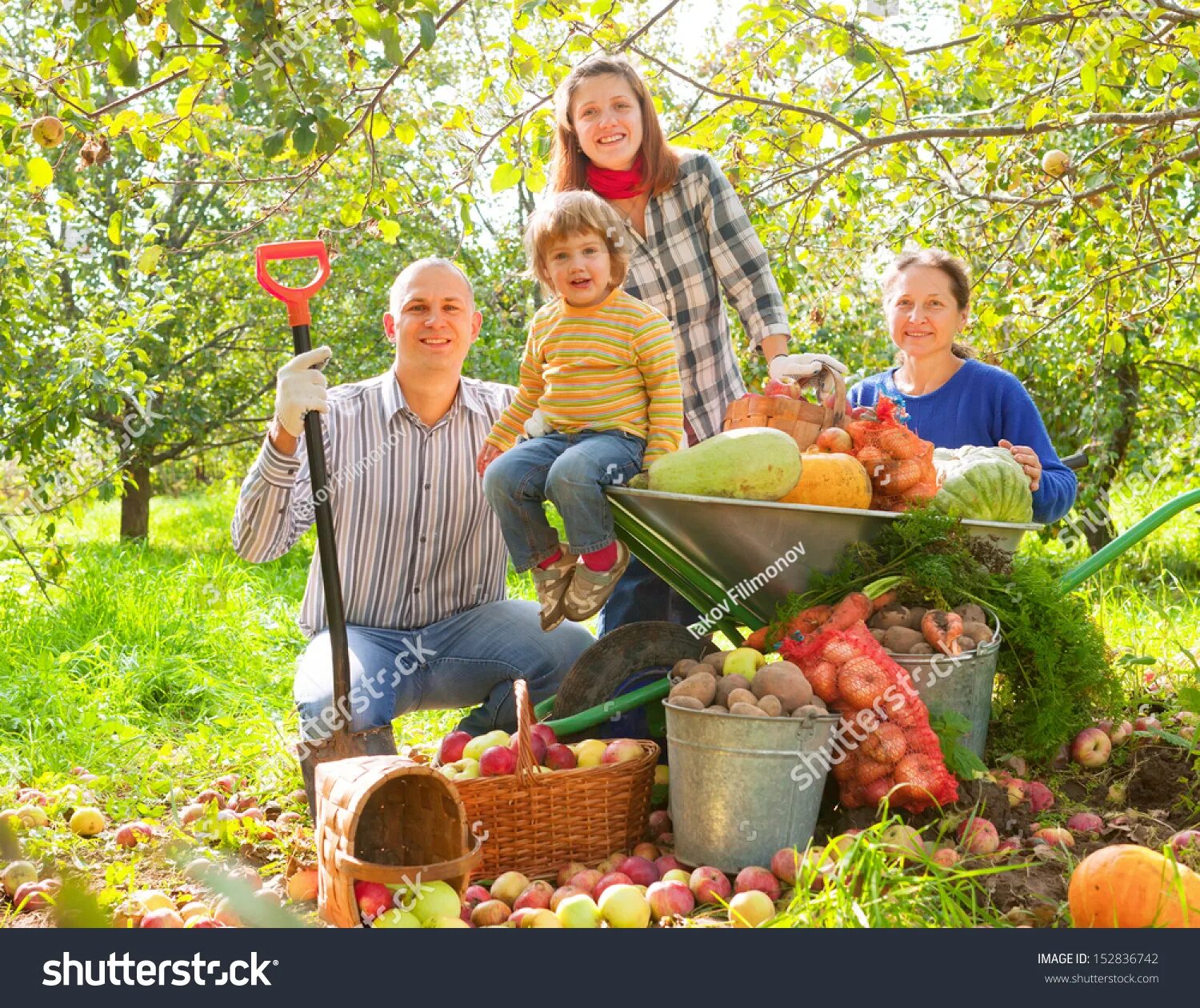 Семья на огороде. Семья в саду. Осенний сбор урожая. Счастливая семья в огороде.
