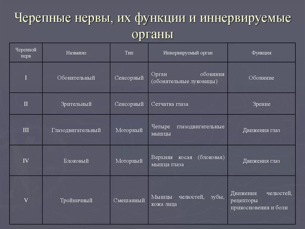 Название 12 пар черепно-мозговых нервов. Функции ядер черепно мозговых нервов таблица. 12 Пар черепно мозговых нервов таблица. 12 Пар черепно-мозговых нервов их функции.