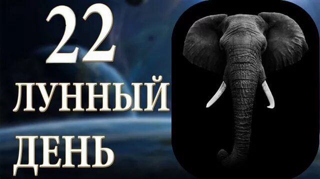 Сон 22 лунный. Сильная луна. Новолуние в рыбах. 22 лунный день. Сон 22 лунный.