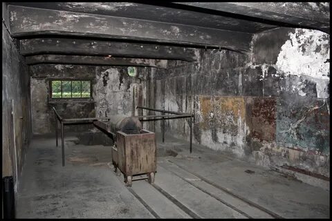 Газовая камера