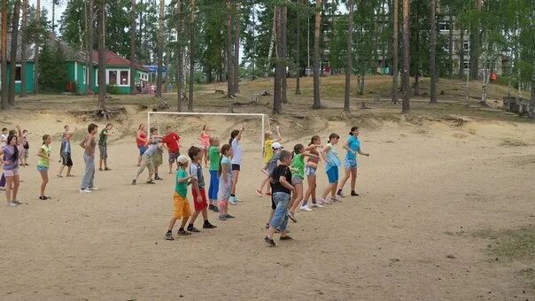 Лагерь Чайка Чебаркуль. Чайка лагерь Осташков оздоровительный. Лагерь Чайка Липецк. Лагерь Чайка г.Екатеринбург. Дол чайка ленинградская