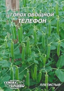 Горох высокорослый