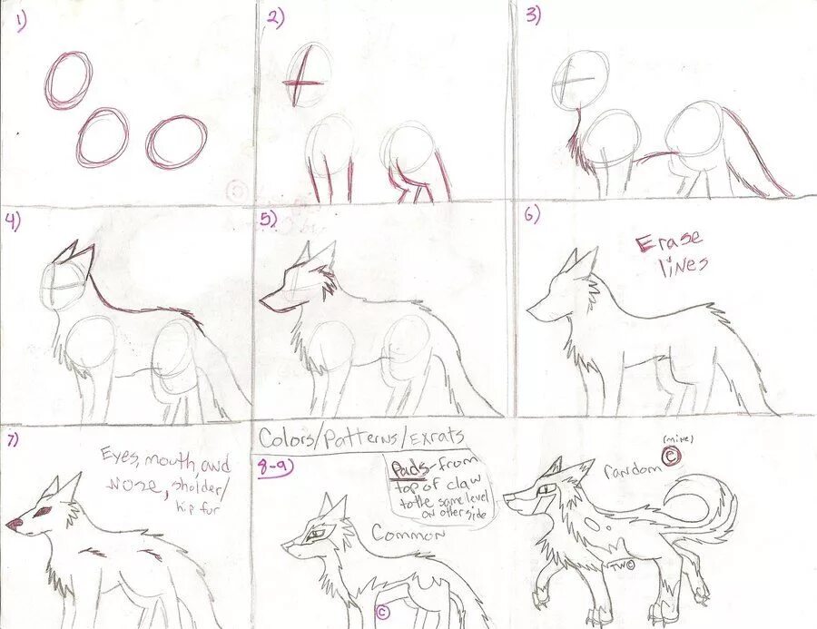 How to wolf