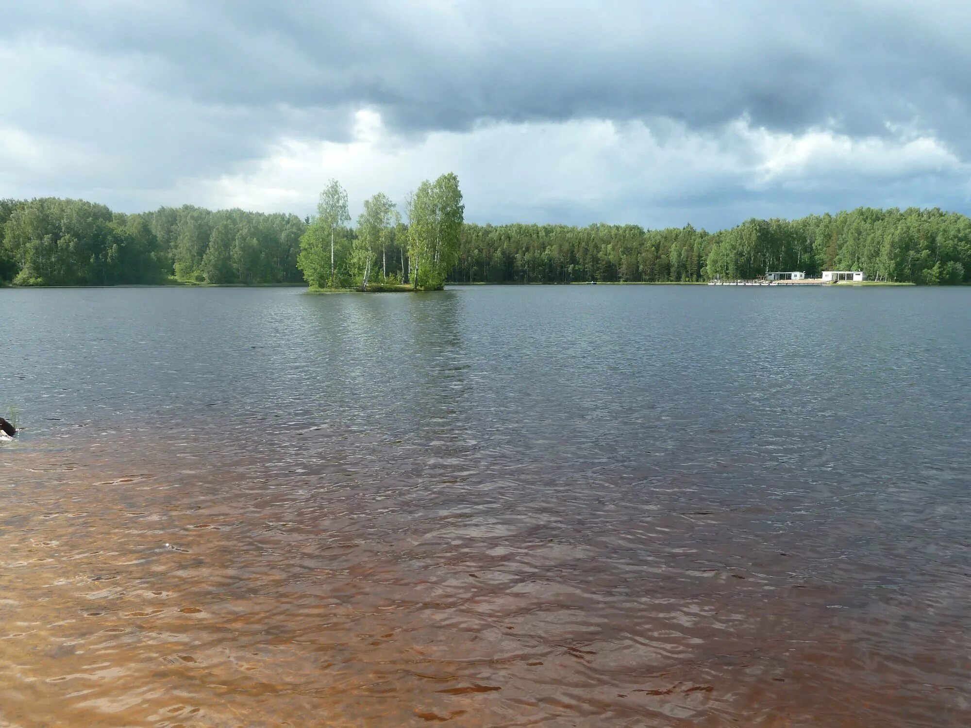 Ушачских озерах. Большое озеро Осиновая роща. Парк Осиновая роща Санкт-Петербург озеро. Озеро в осиновой роще. Озеро в осиновой роще Санкт-Петербург.