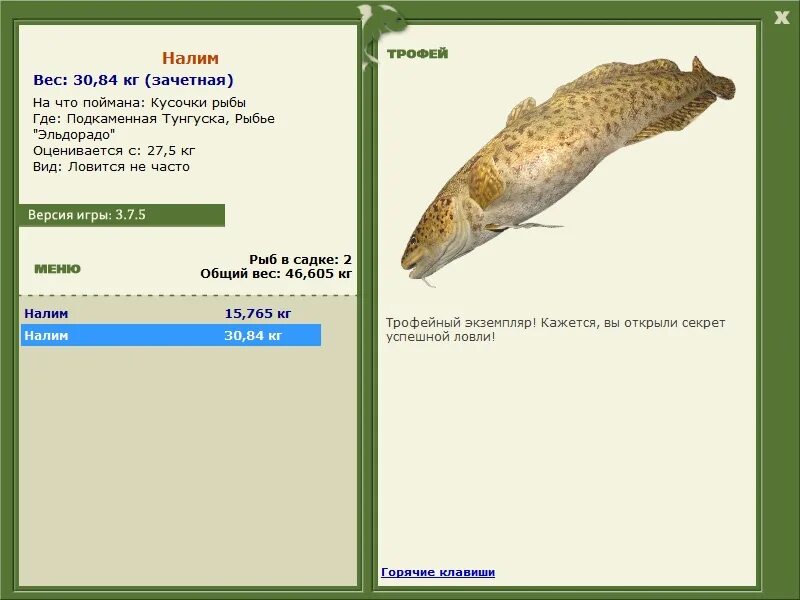 Окунь и плотва. Налим плотва. Налим и сом отличия. Ерш плотва окунь подлещик. Налим плотва.