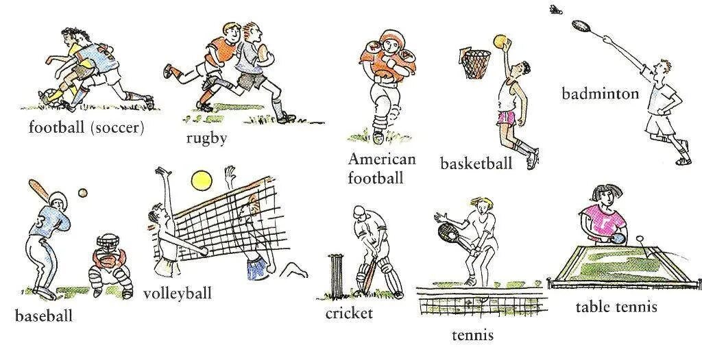 Спорт на английском. Виды спорта на английском языке. Спортивные игры на английском. Лексика по теме спорт. Лексика спорт