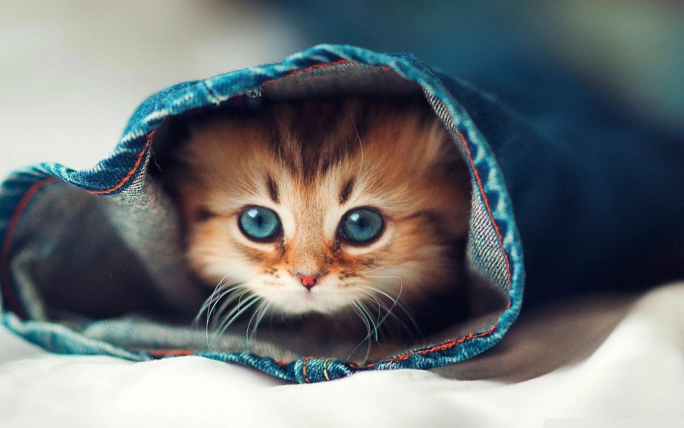 Картинки которые можно поставить
